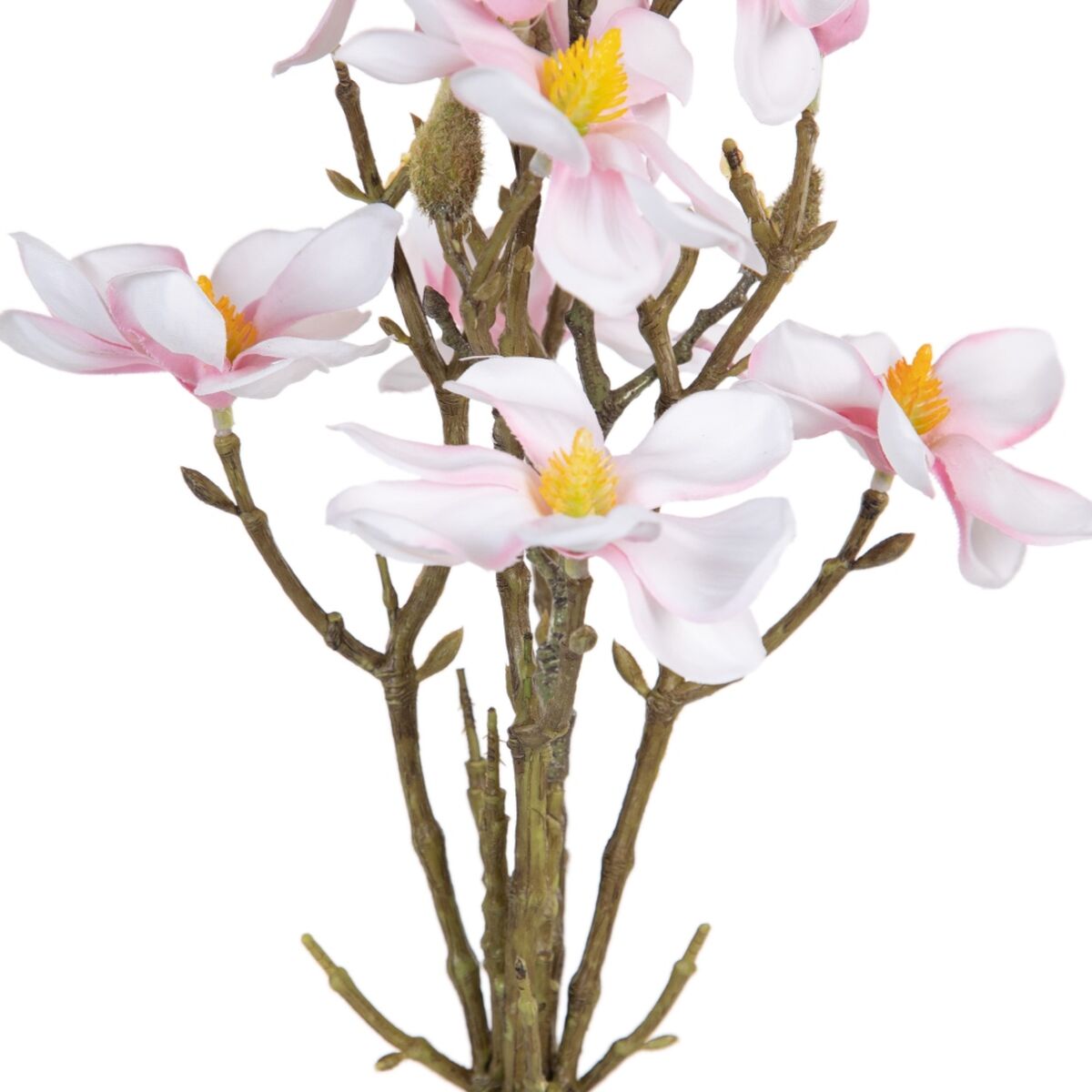 Dekorativa blommor Grön Rosa 37 x 20 x 41 cm Magnolia - 2