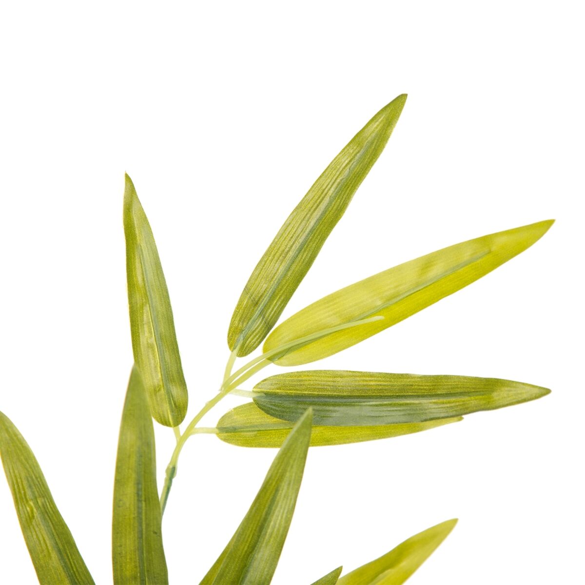 Gren Polyester Polyetylen Järn 40 x 30 x 157 cm - 5