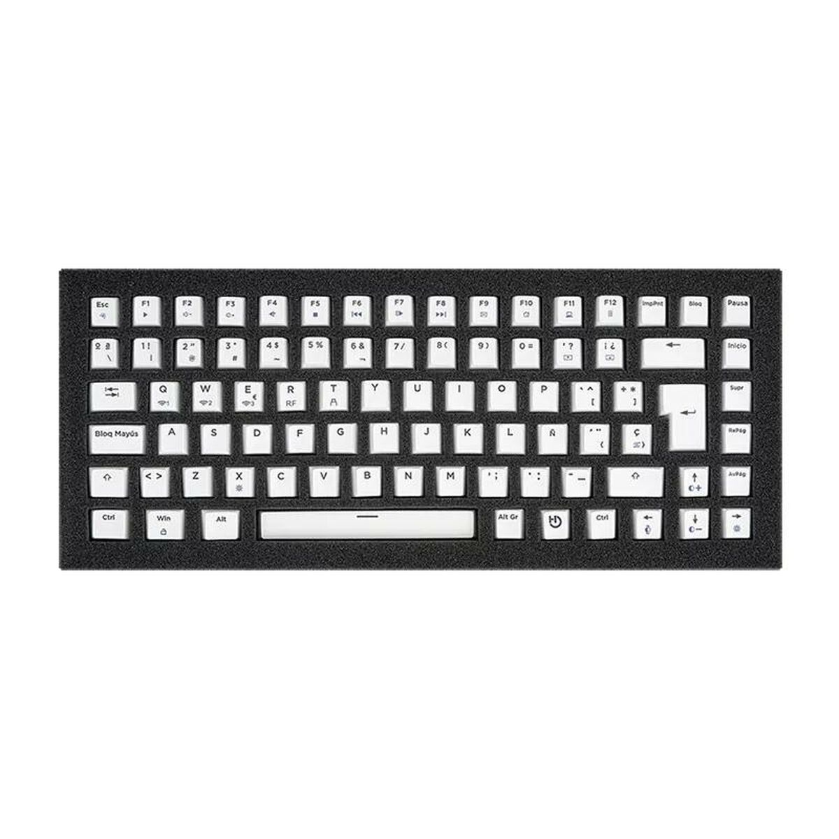 Mus Hiditec KEYCP1000 Svart - 2
