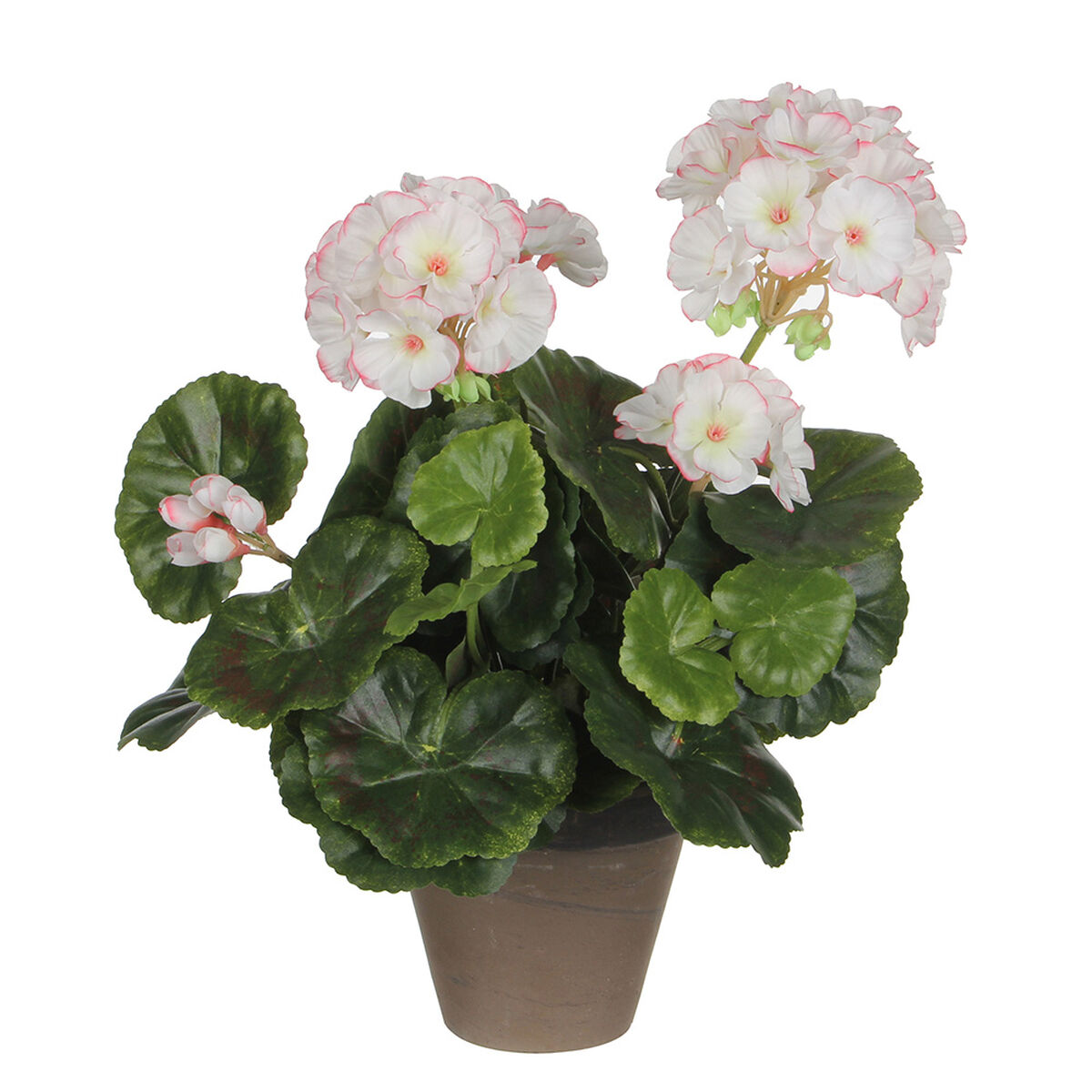 Dekorativ växt Mica Decorations PVC Pelargon (11,5 x 33 cm) - 2
