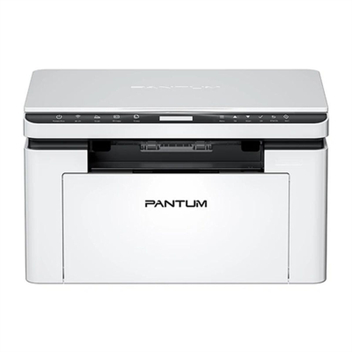 Multifunktionsskrivare Pantum BM2300W