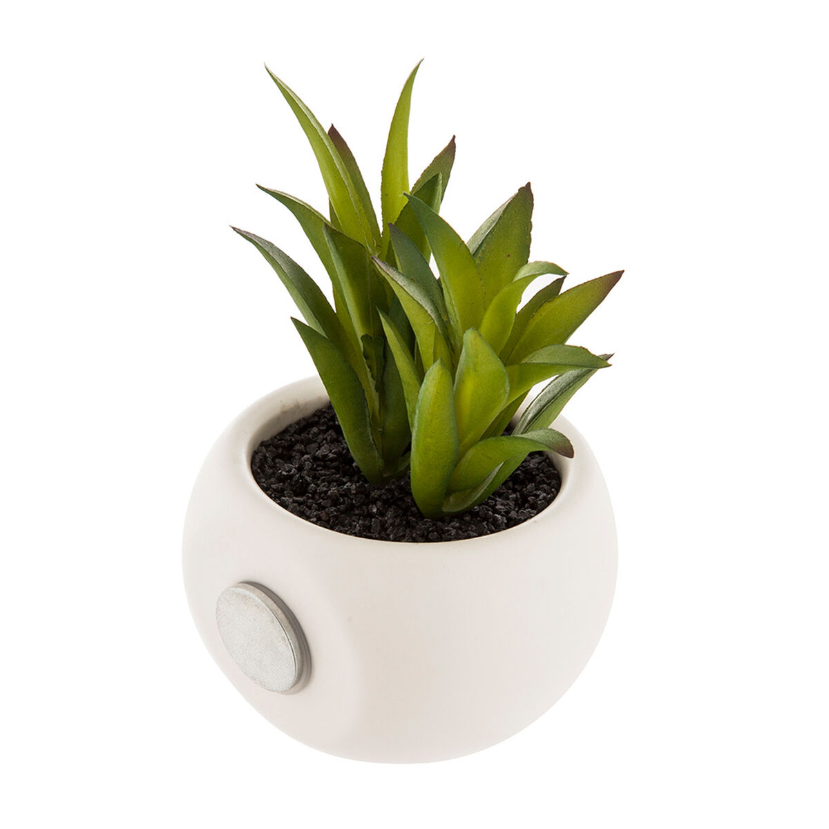 Dekorativ växt Atmosphera Magnet Grön PVC - 2