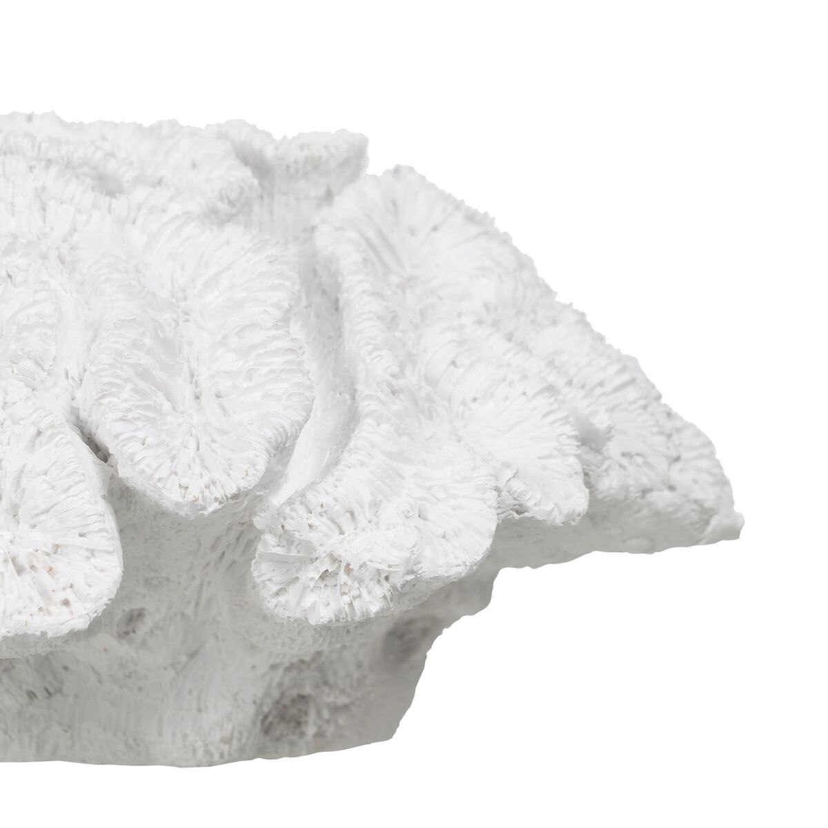 Prydnadsfigur Vit Korall 23 x 22 x 11 cm - 4