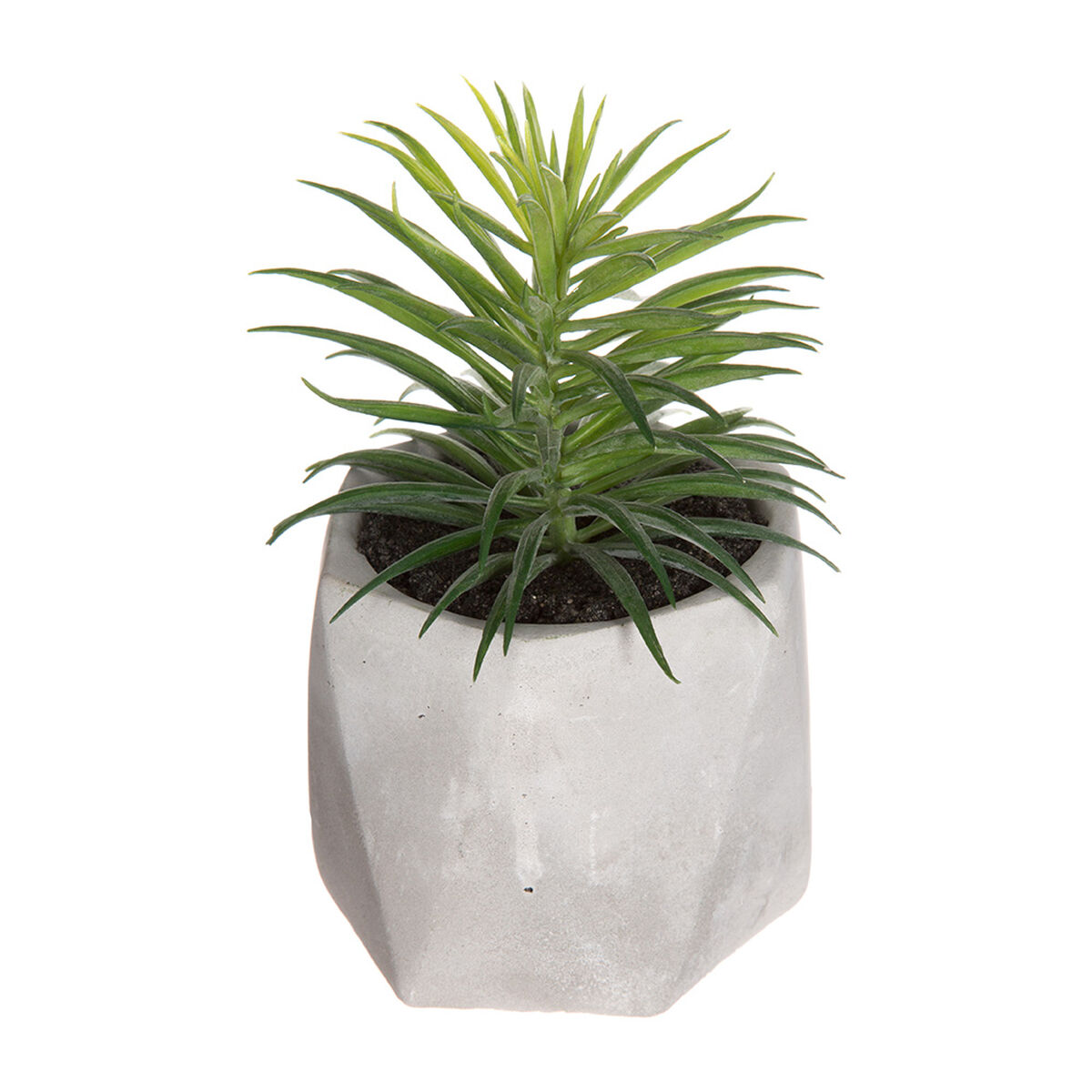 Dekorativ växt Atmosphera 7 x 14 cm Grön PVC - 2