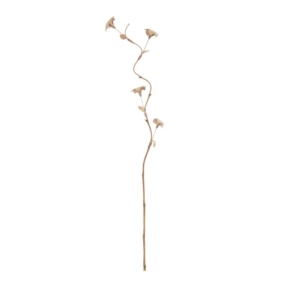 Gren Beige Bambu Naturliga fibrer Blomster 27 x 27 x 170 cm