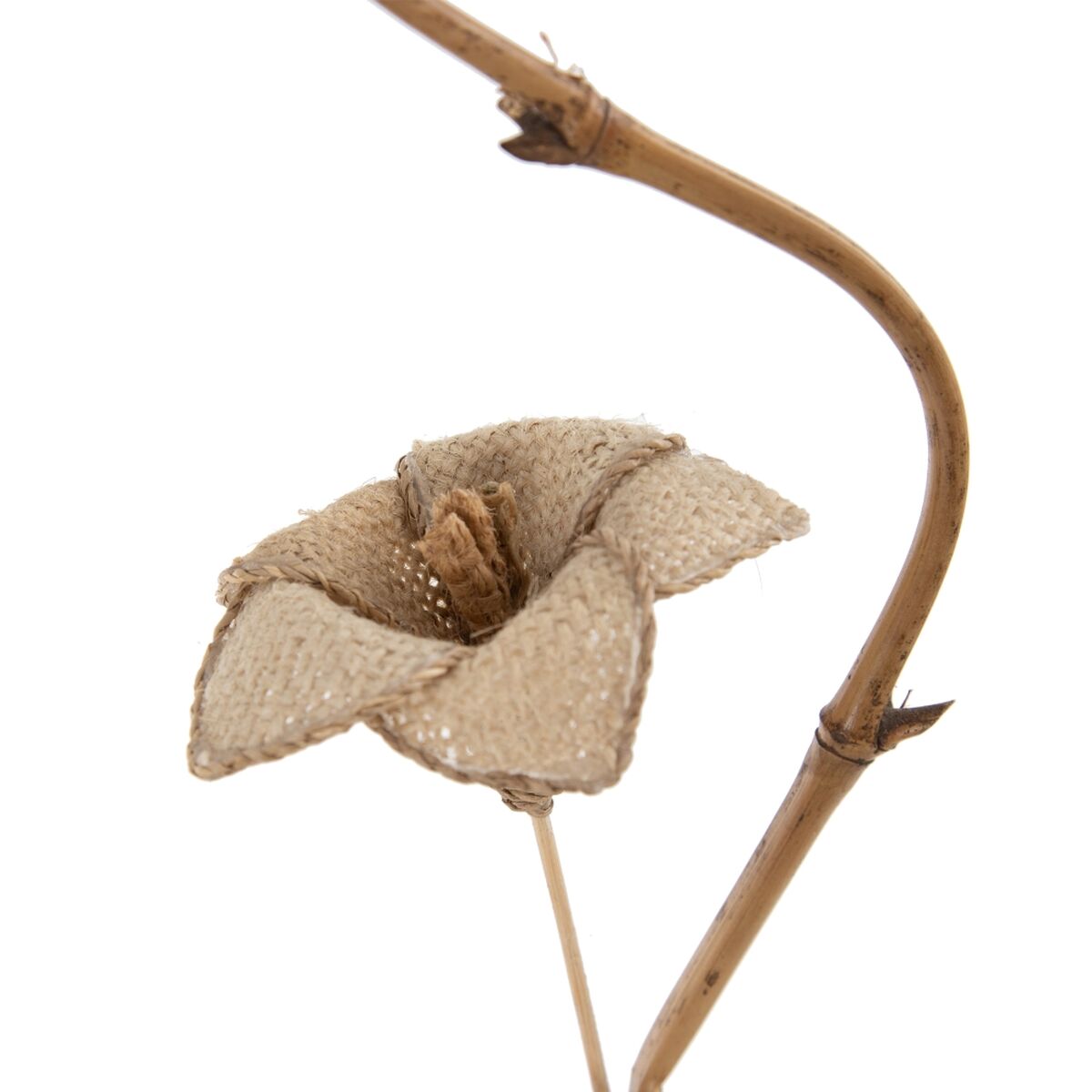 Gren Beige Bambu Naturliga fibrer Blomster 27 x 27 x 170 cm - 3