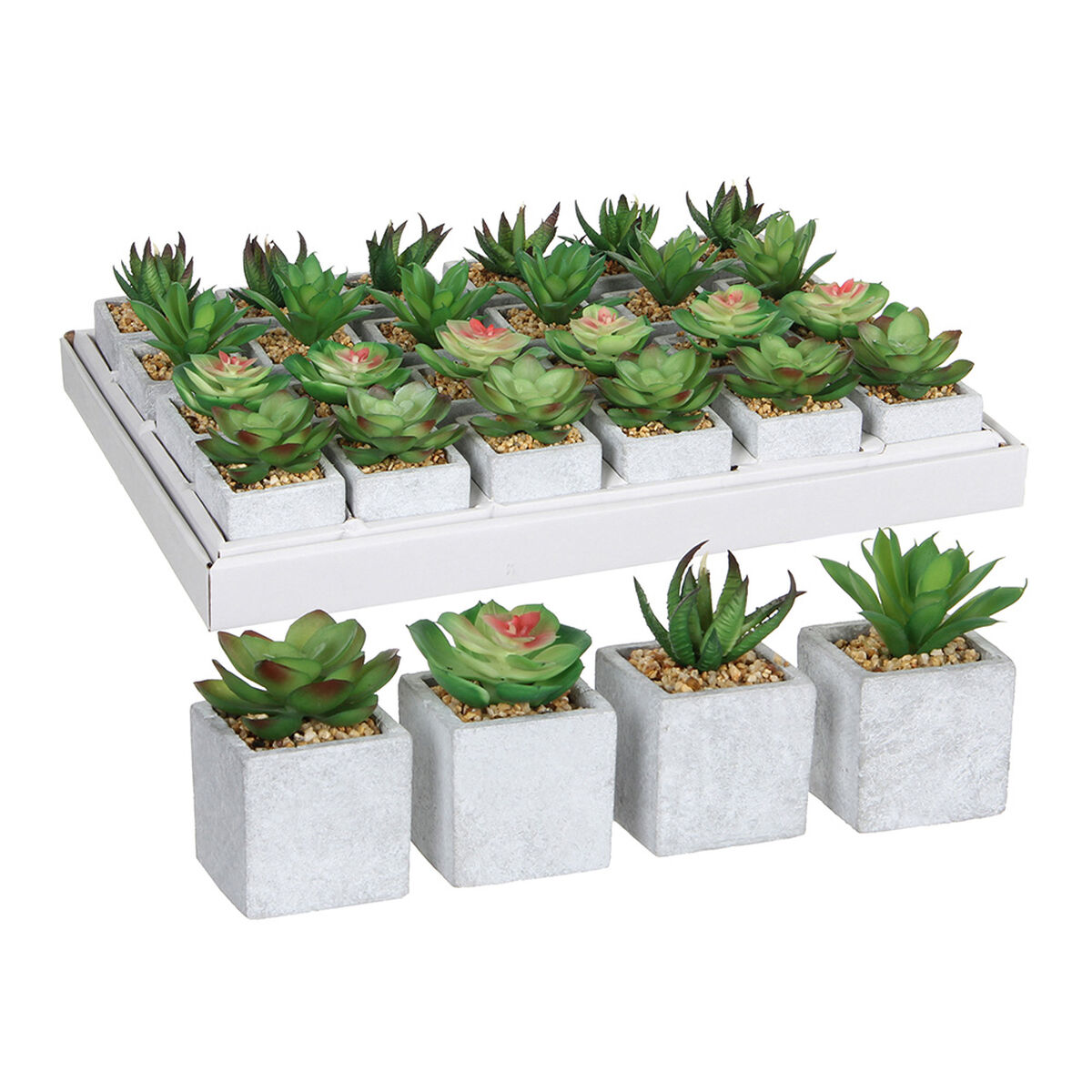 Dekorativ växt Mica Decorations 8 x 5 cm Grön PVC Suckulent - 2