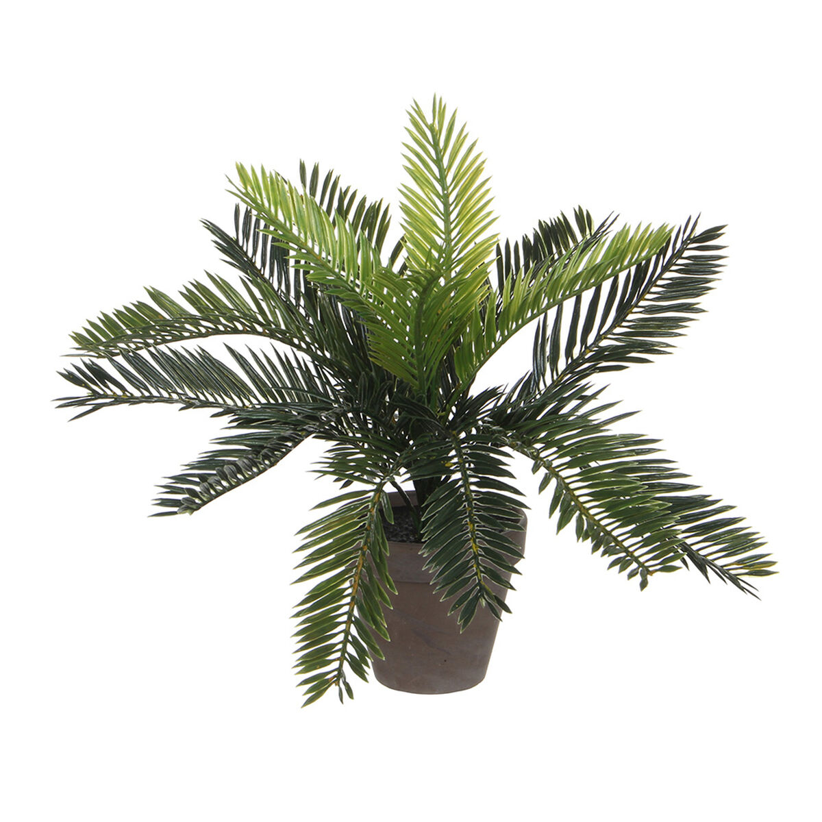 Dekorativ växt Mica Decorations Keramik Palmträd (11,5 x 33 cm) - 2