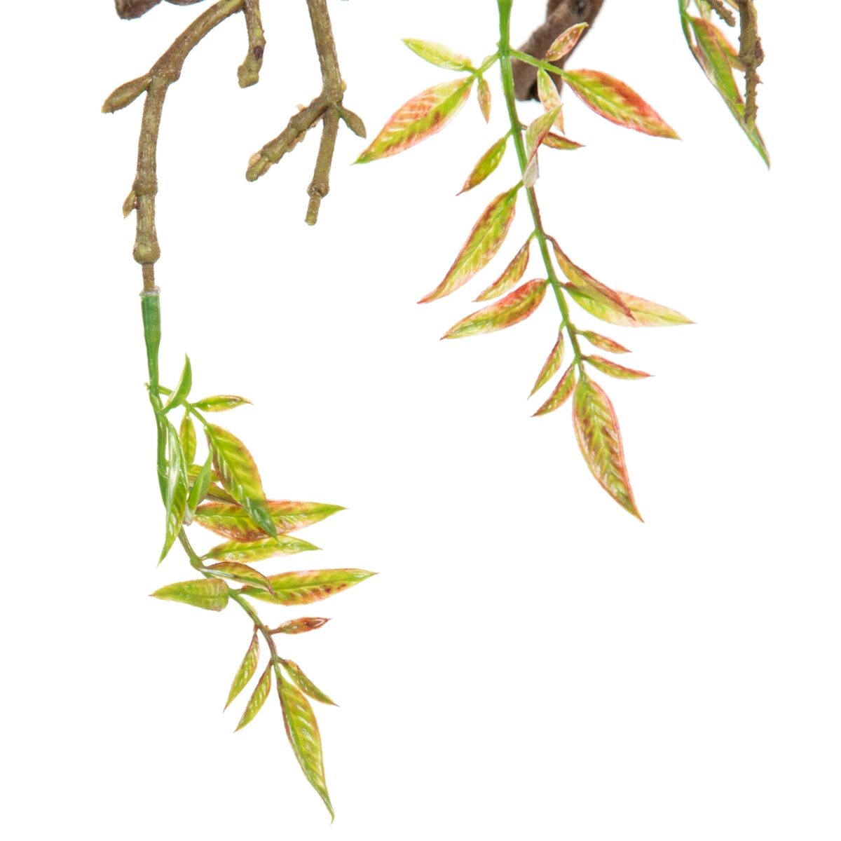 Dekorativa blommor 65 x 30 x 18 cm Vit Pion - 2