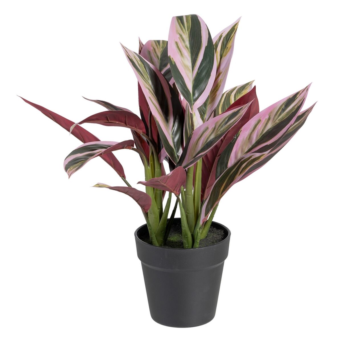 Dekorativ växt 44 x 39 x 48 cm Rosa Grön PVC