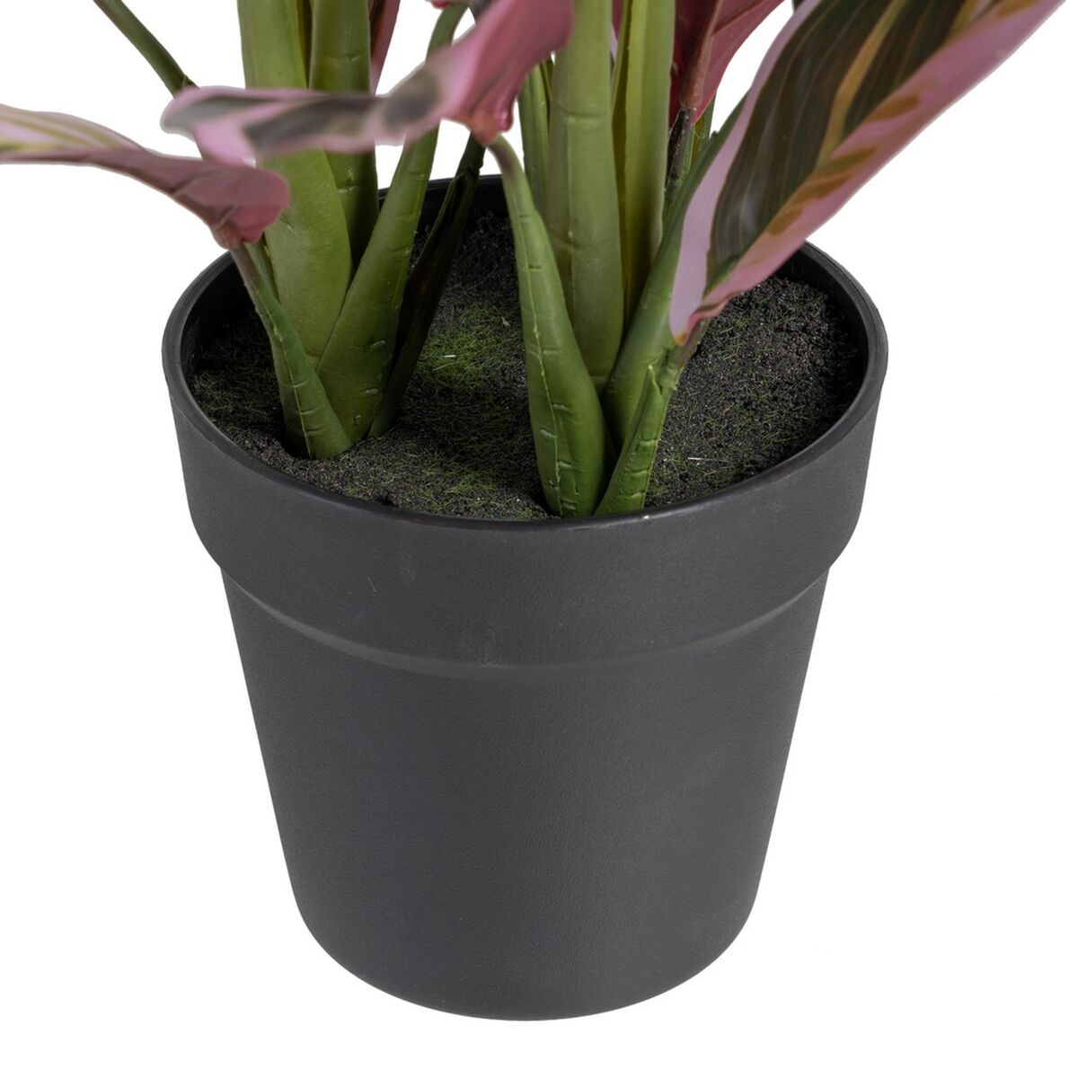 Dekorativ växt 44 x 39 x 48 cm Rosa Grön PVC - 2
