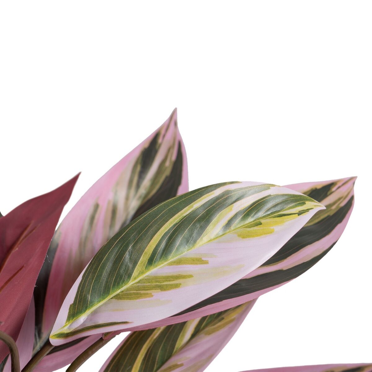 Dekorativ växt 44 x 39 x 48 cm Rosa Grön PVC - 4