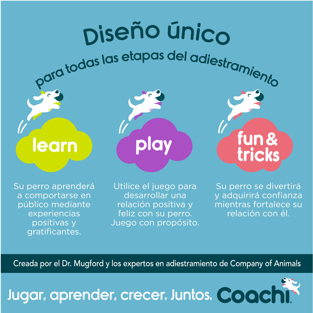 Multi-Clicker Coachi - 4