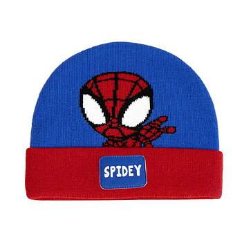 Hatt Spidey