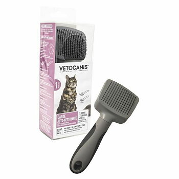 Avmattande Kam Vetocanis Katt