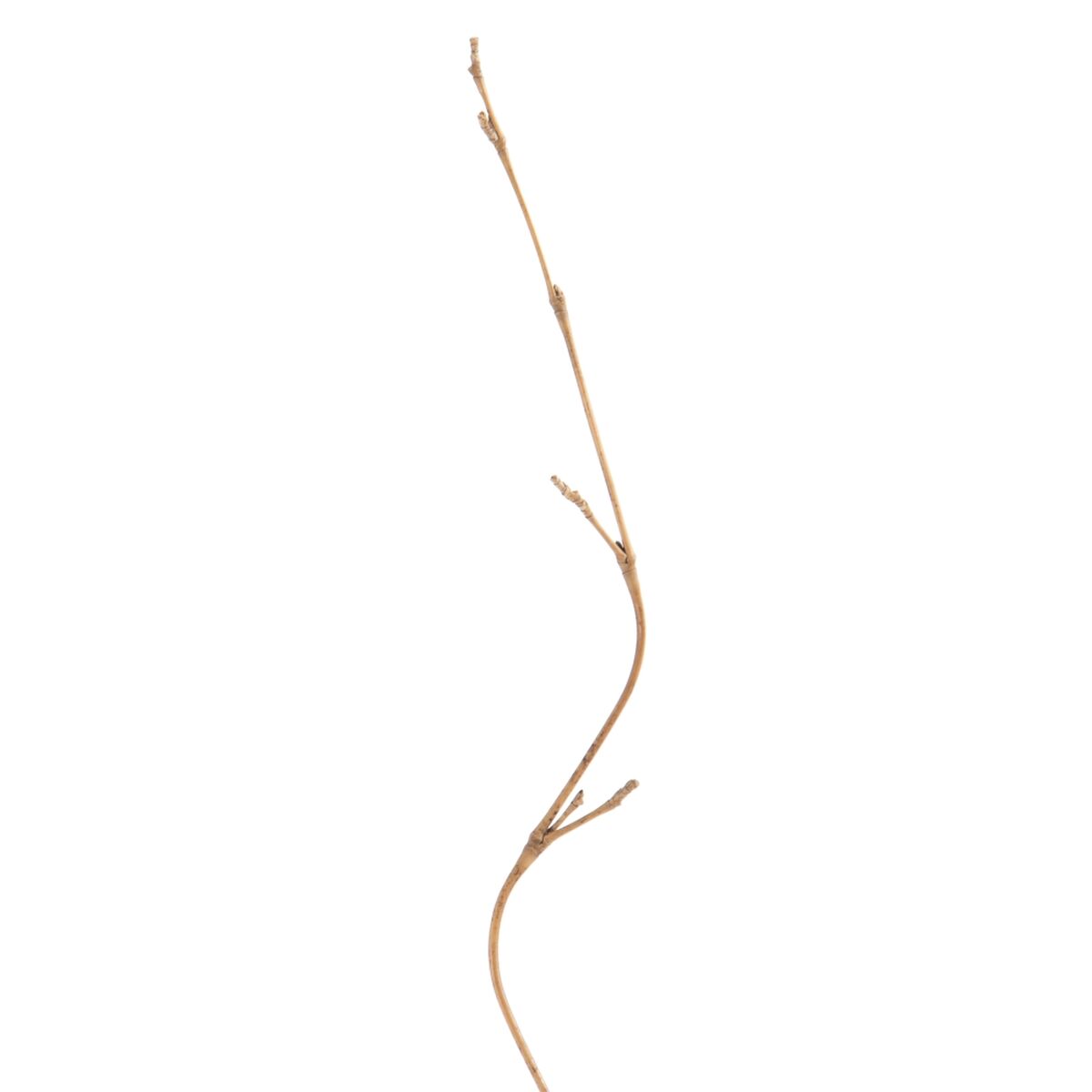 Gren Kräm Bambu Rattan 5 x 0,5 x 190 cm - 2