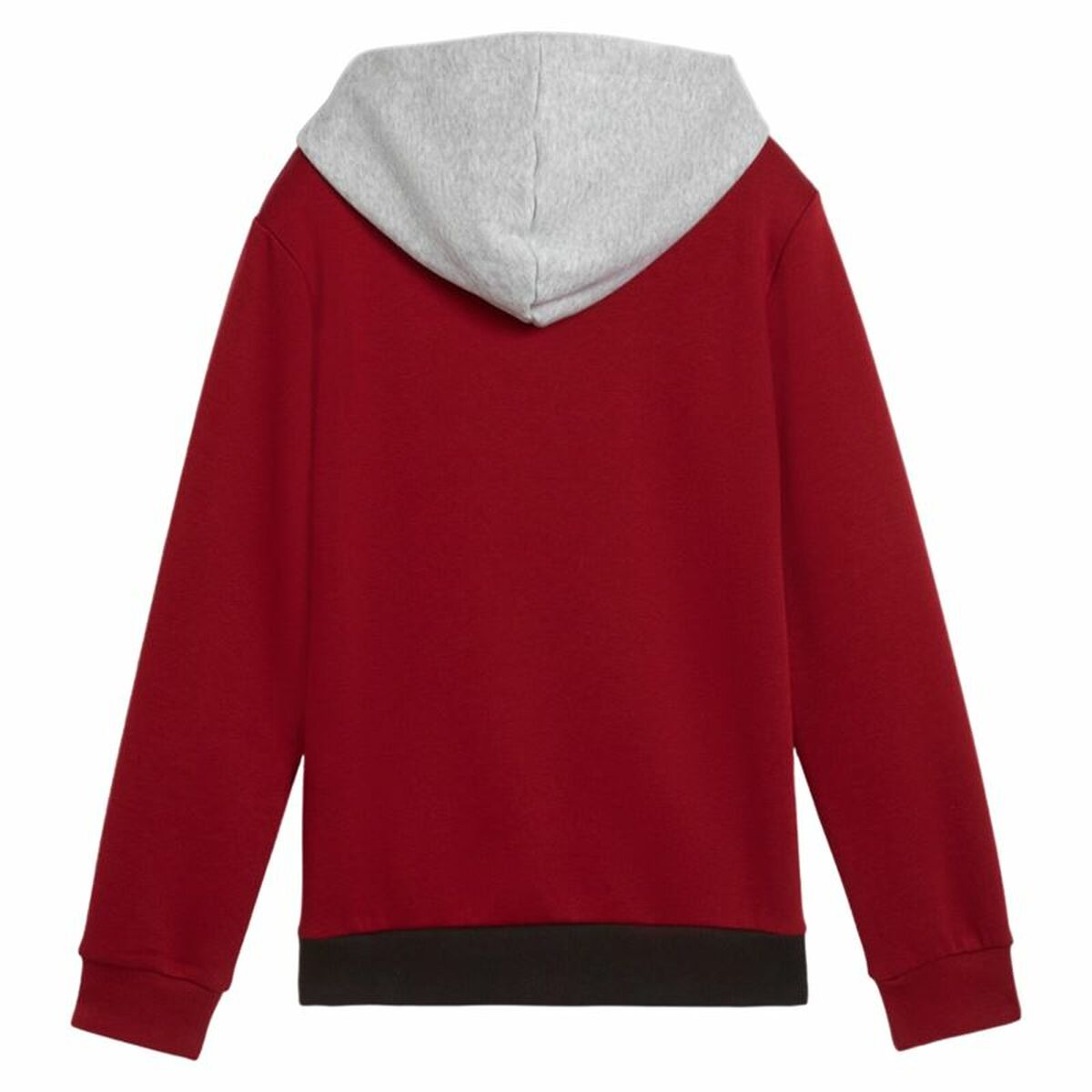 Tröja med huva Unisex Puma Essentials Block - 2