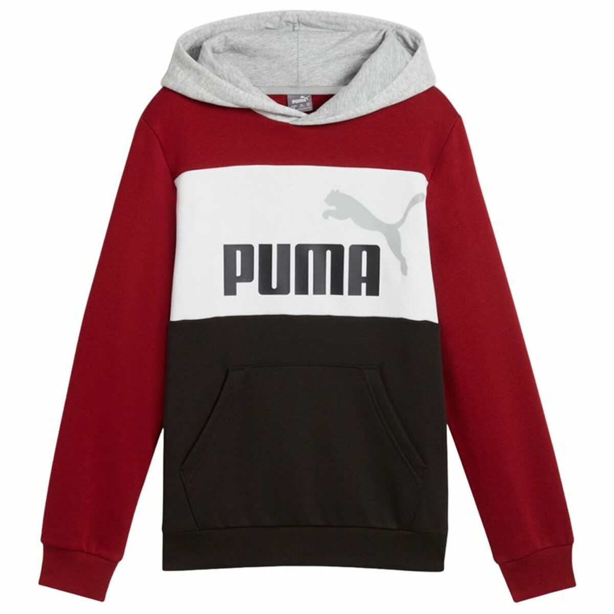 Tröja med huva Unisex Puma Essentials Block