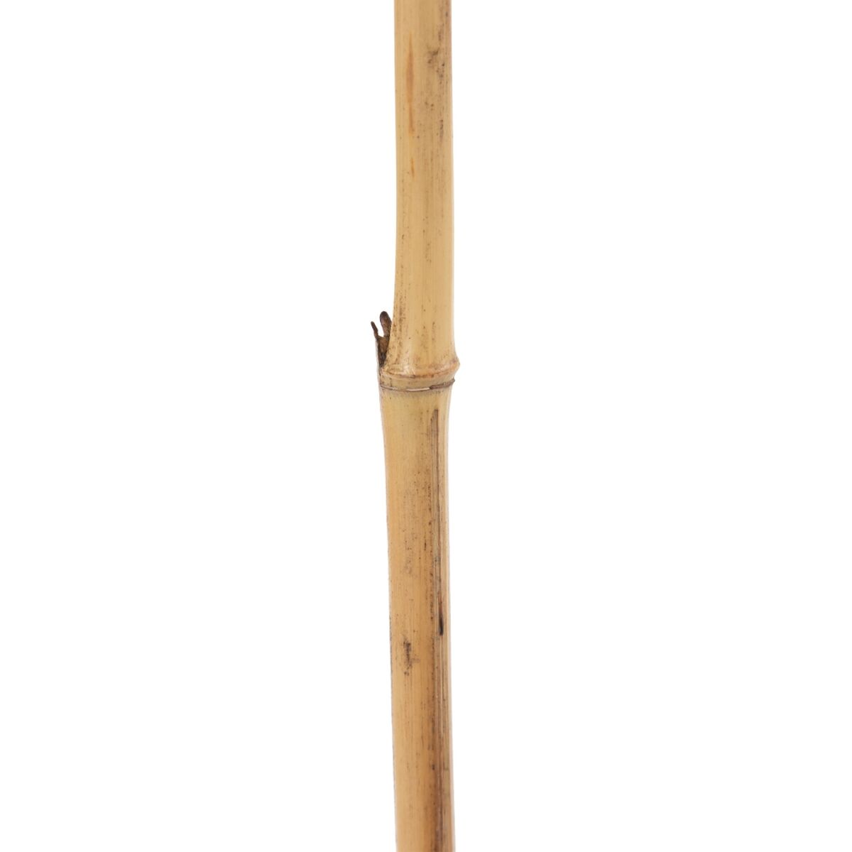 Gren Beige Bambu Naturliga fibrer Blomster 8 x 8 x 156 cm - 4