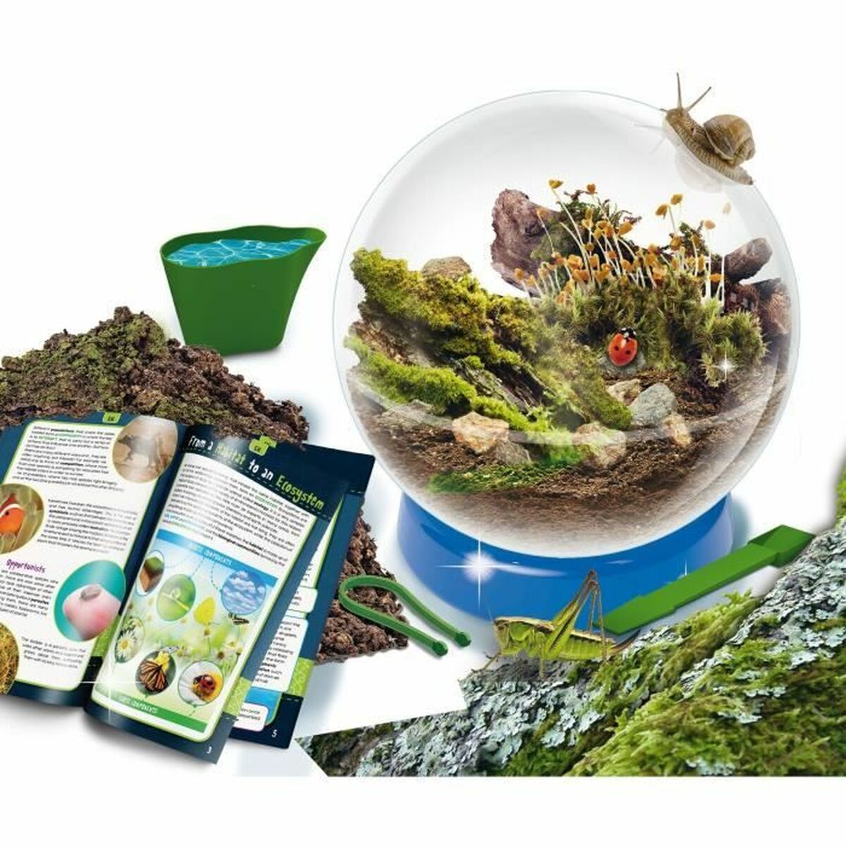 Vetenskapsspel Lisciani Giochi Habitats & Ecosystems - 3