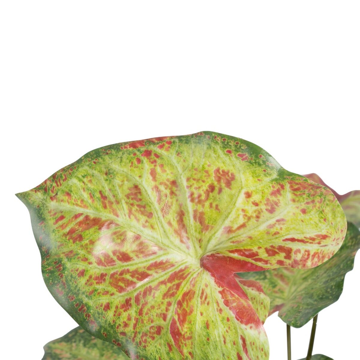 Dekorativ växt 48 x 46 x 55 cm Röd Grön PVC - 4