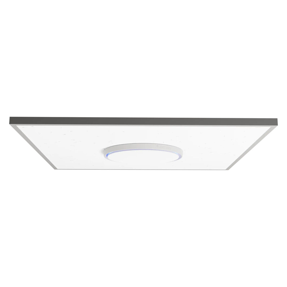 Hörlurar Shure SPEAKER1 Vit - 4