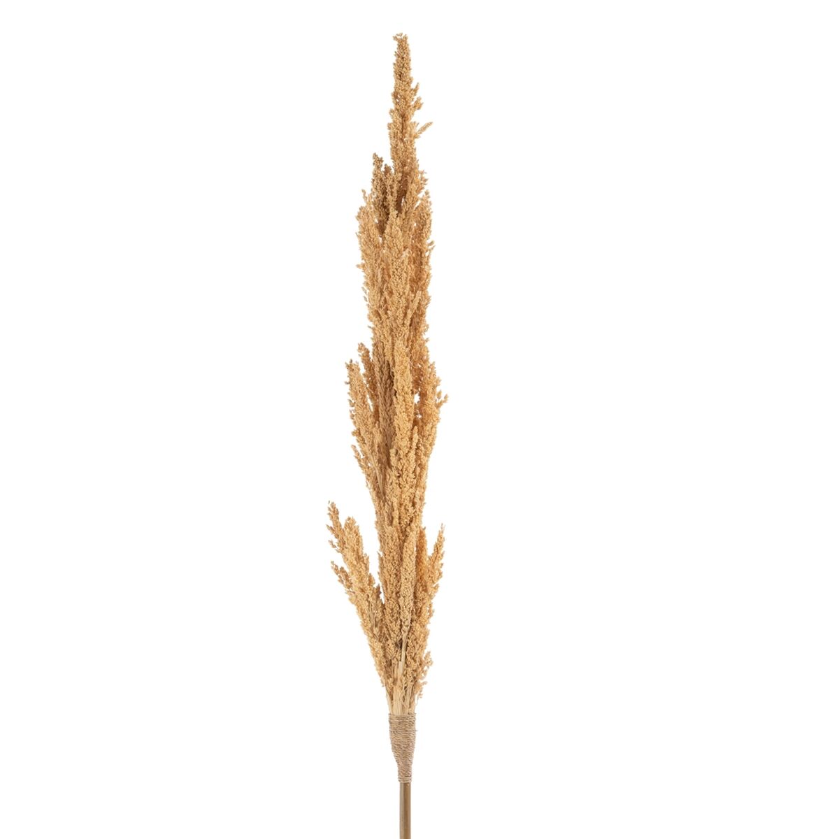 Gren Bambu 7 x 7 x 190 cm - 2