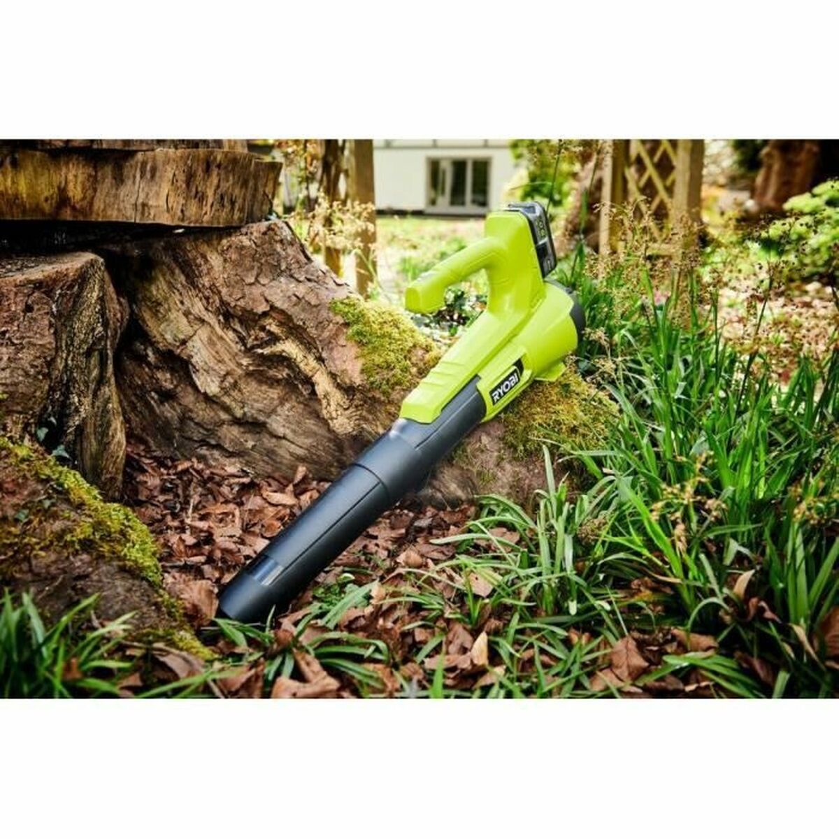 Blås Ryobi - 2