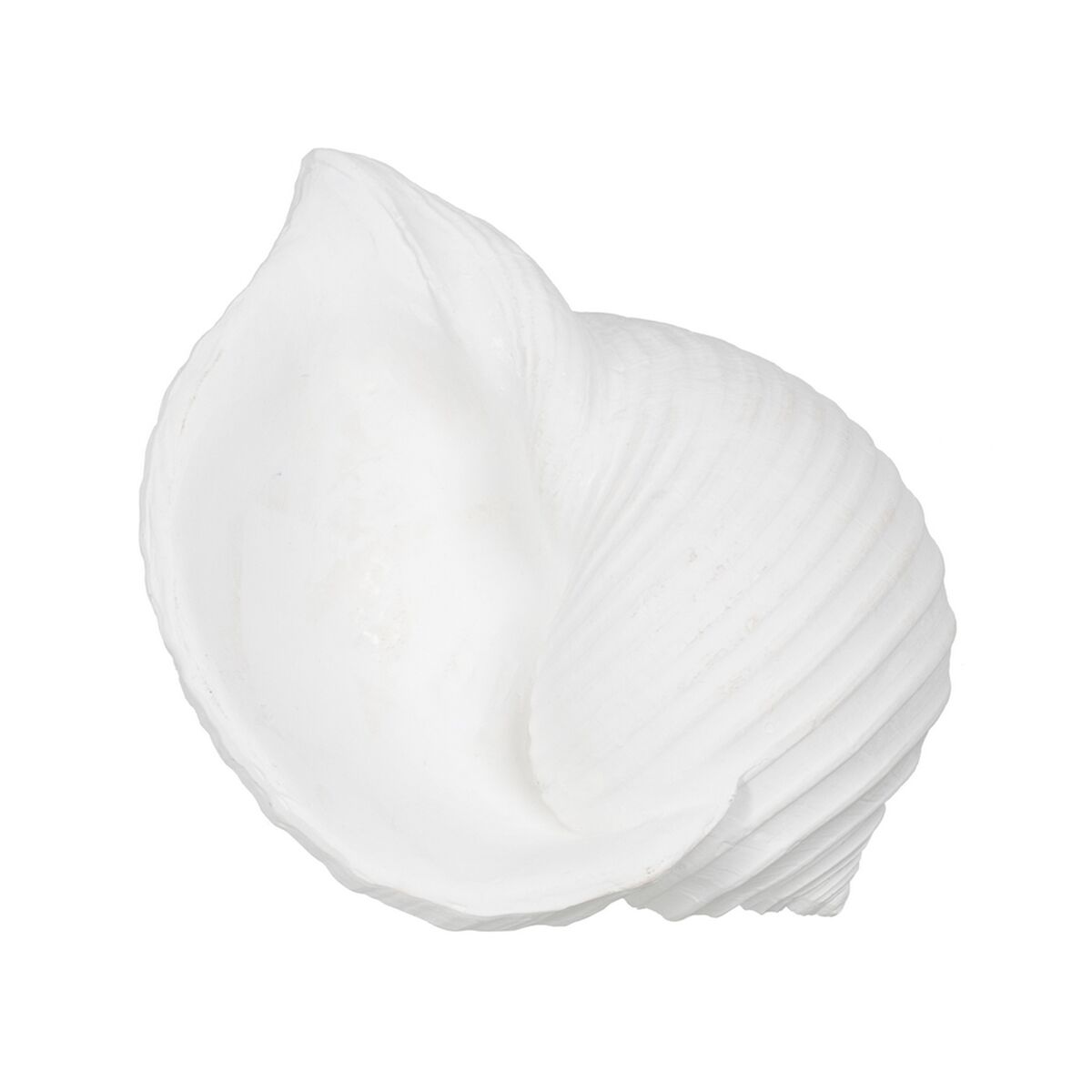 Prydnadsfigur Vit Snigel 15 x 11 x 9 cm - 3