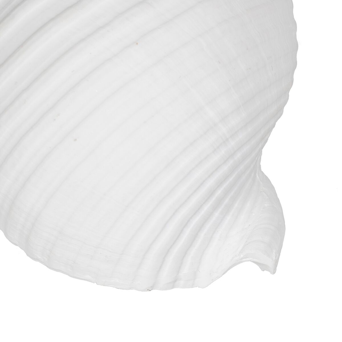 Prydnadsfigur Vit Snigel 11 x 9 x 8 cm - 4