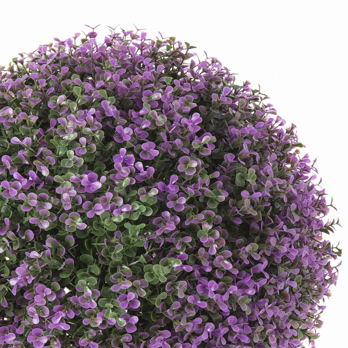 Dekorativ växt   Labda Lavendel 30 x 30 x 30 cm - 4