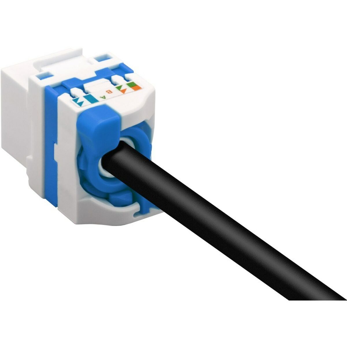 Nätkabel UTP Styv Kategori 6 Techly 028580 Vit - 4
