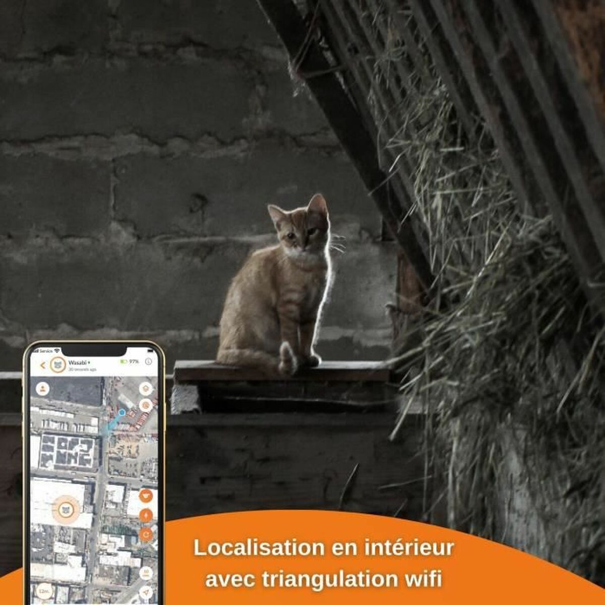 Anti-förlust lokaliserar Weenect Weenect XS GPS Katt Vit - 2