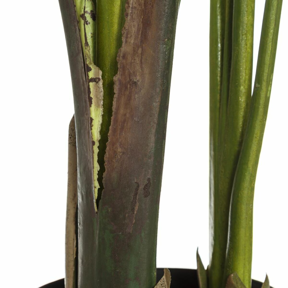 Dekorativ växt PVC Järn Paradisets Fågel 150 cm - 2