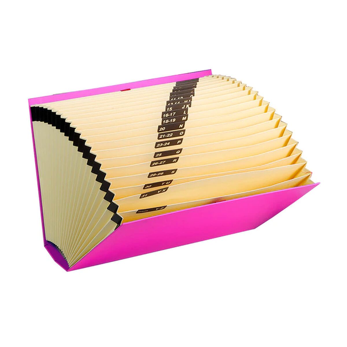 Sorteringsmapp Carchivo Fuchsia Din A4 35 x 25 x 5 cm - 3