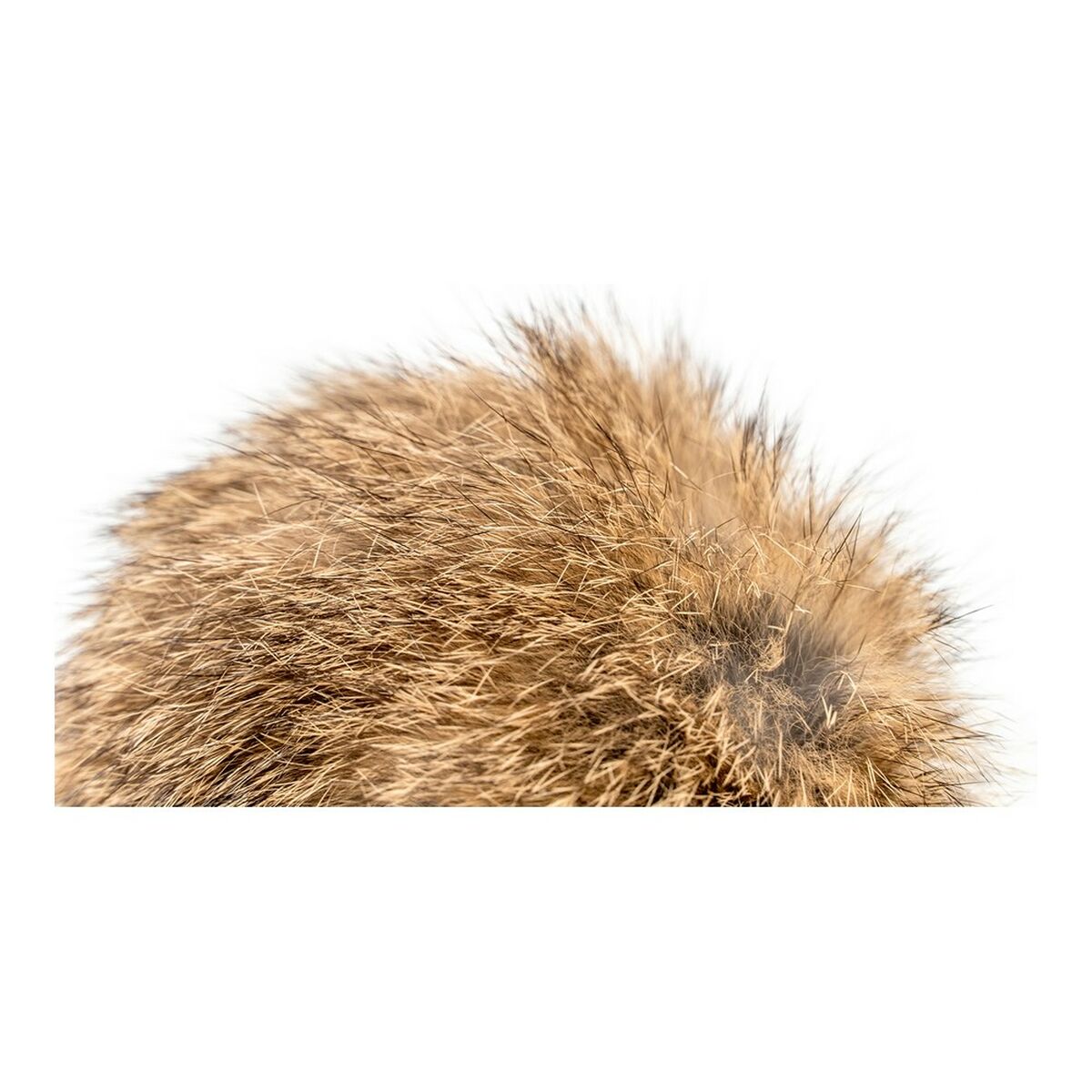 Kattstav Gloria Rogers Tofs (12 cm) - 7