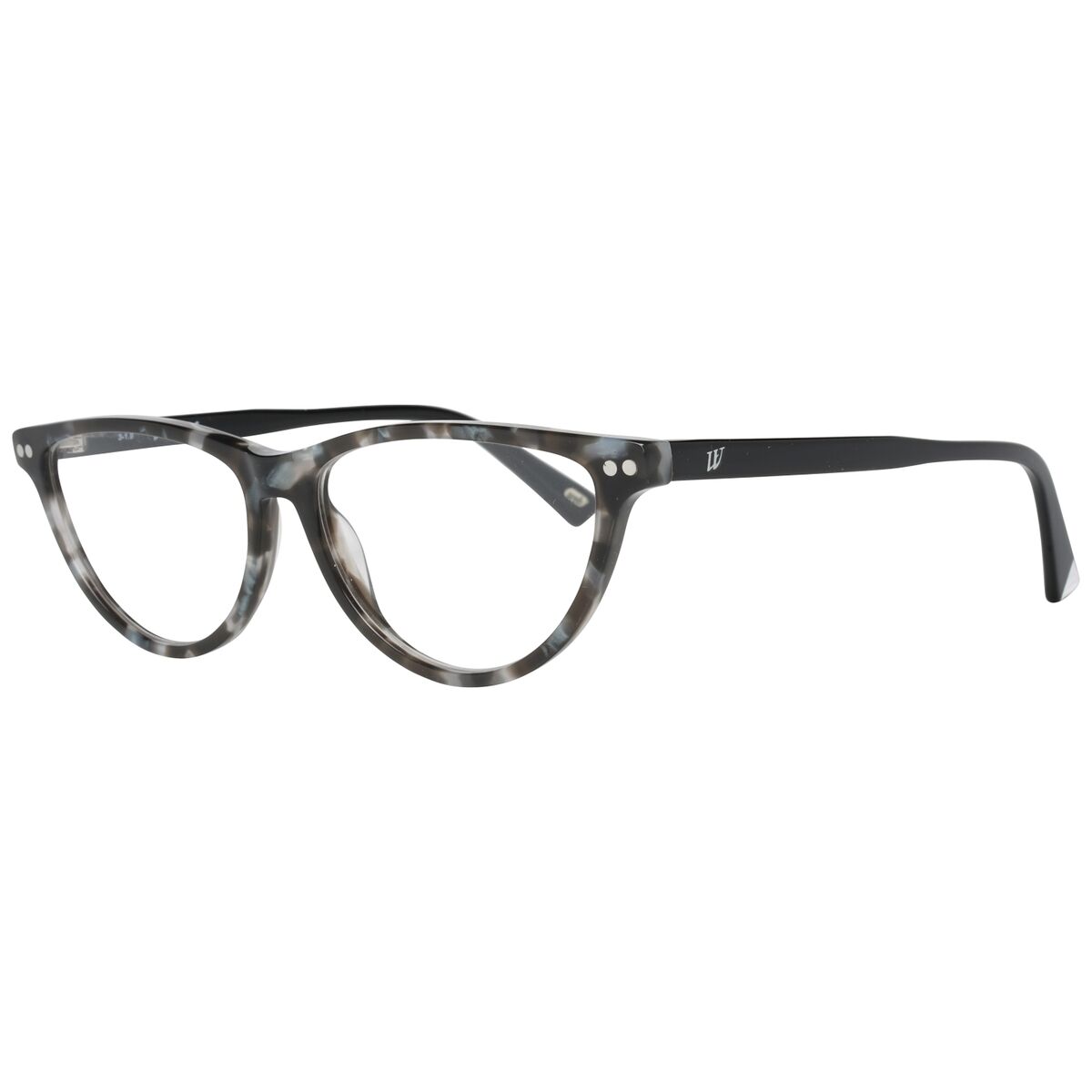 Glasögonbågar Web Eyewear WE5305 55005