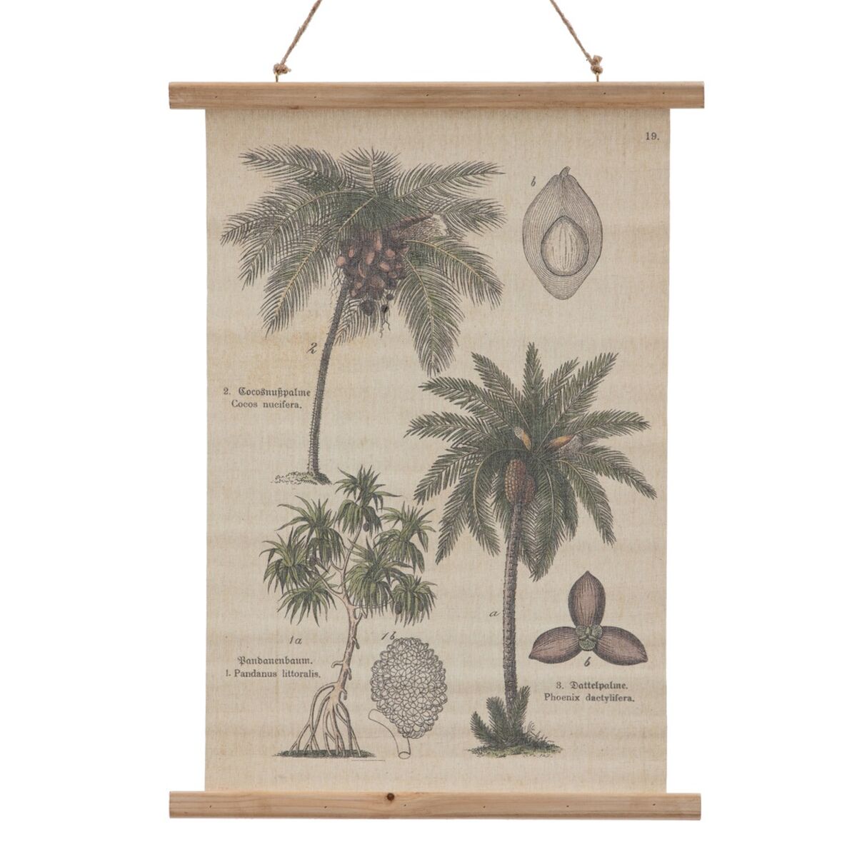 Ark 50 x 2 x 70 cm - 6
