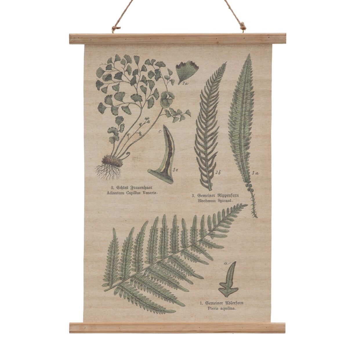 Ark 50 x 2 x 70 cm - 6