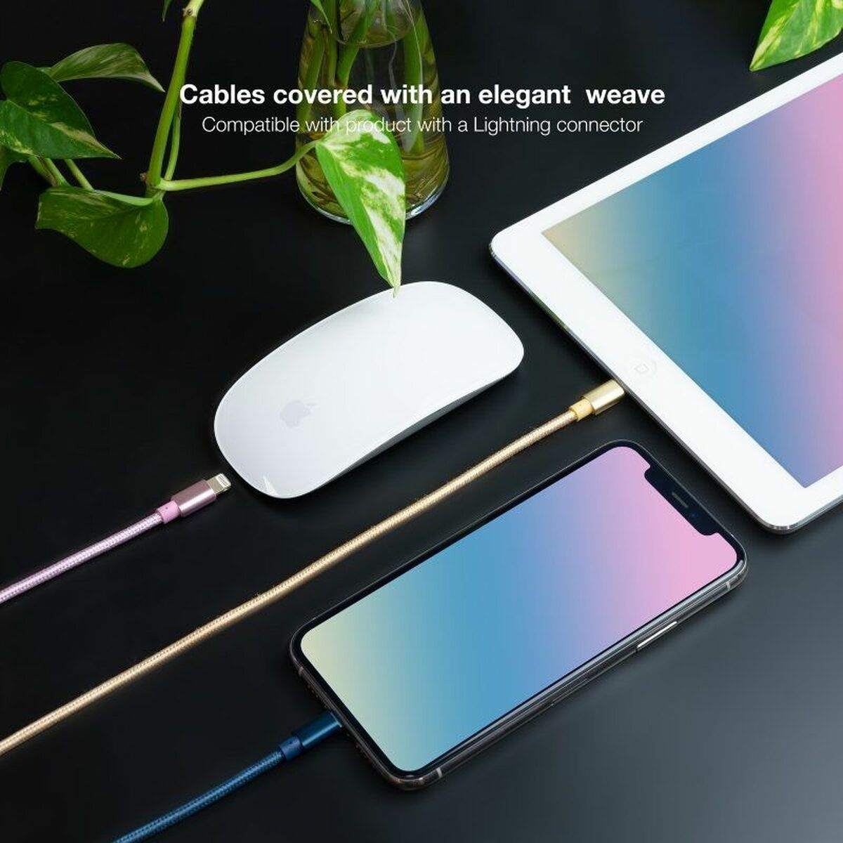 Kabel Lightning NANOCABLE 10.10.0401-CO2 1 m - 3