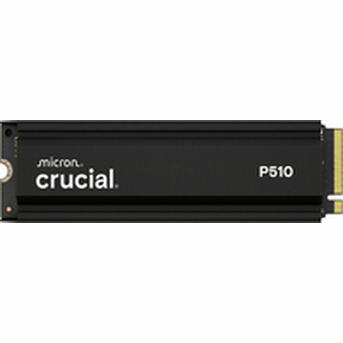 Hårddisk Crucial 1 TB SSD - 3