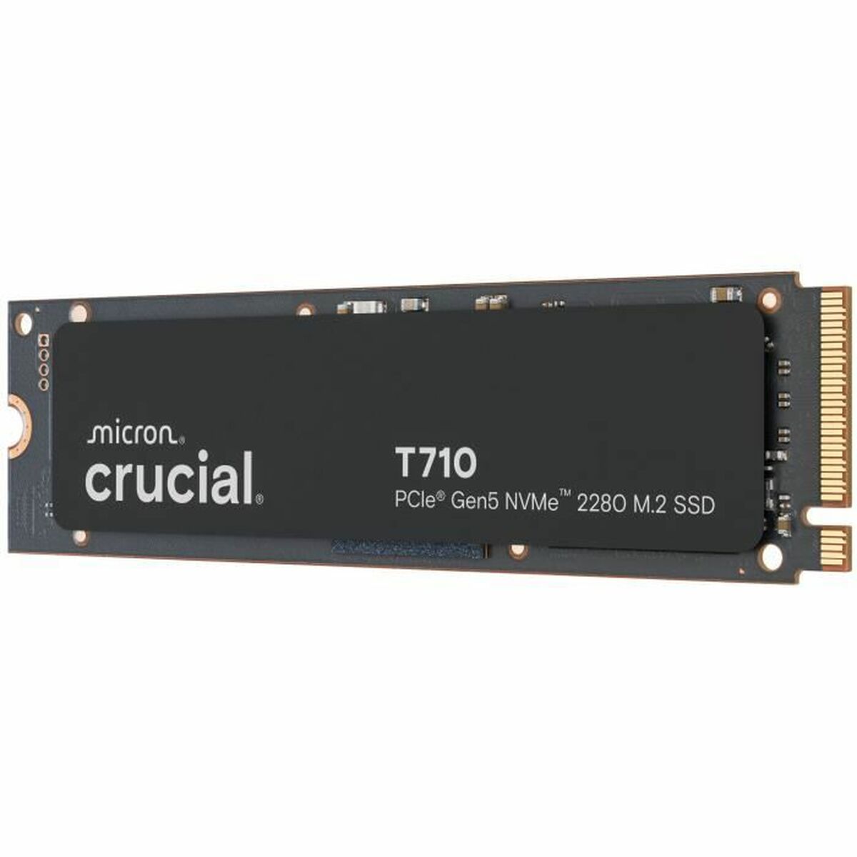 Hårddisk Crucial 1 TB SSD