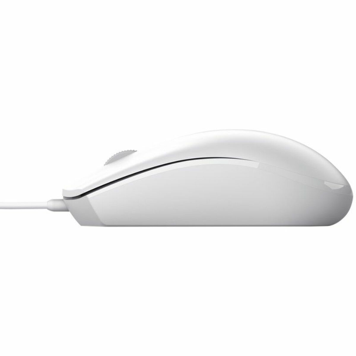 Mus Trust TM-101 Vit - 2