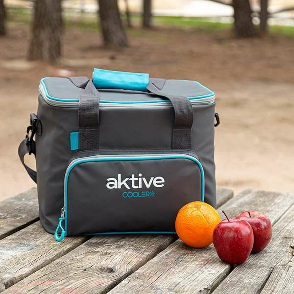 Bärbar kyl Aktive 20 L - 2