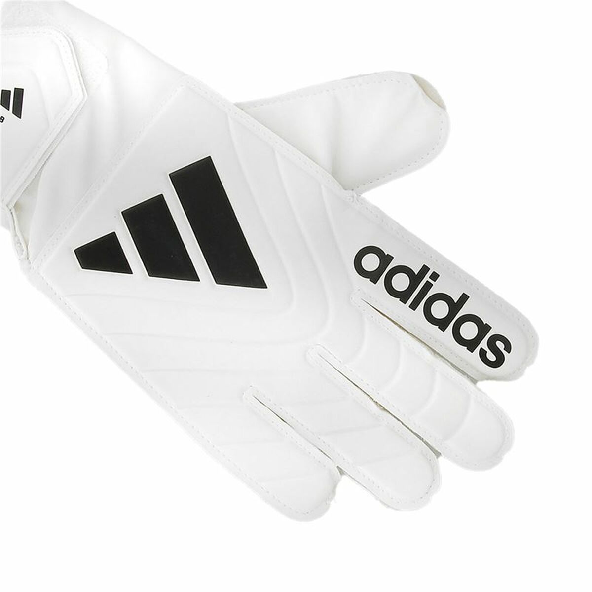 Målvaktshandskar Adidas Copa Clb Vit Vuxna - 3