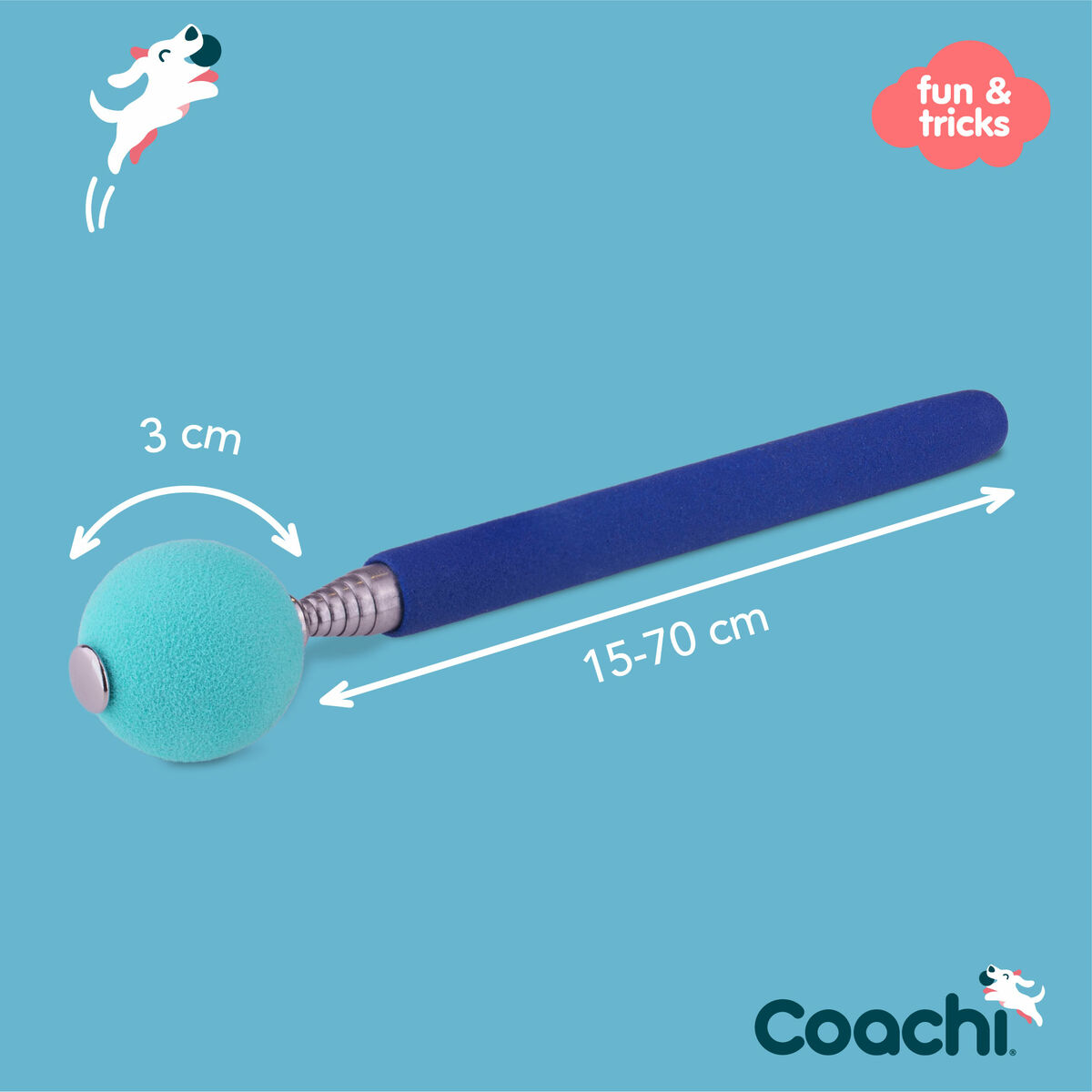 Training toy Coachi Stick Blå - 5