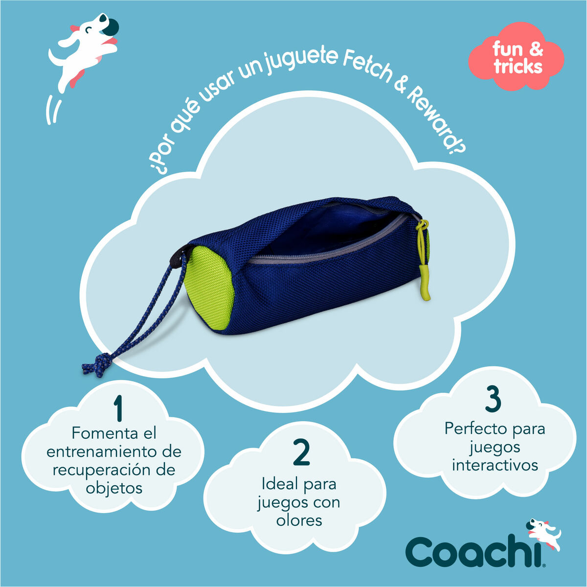Training toy Coachi Blå - 4