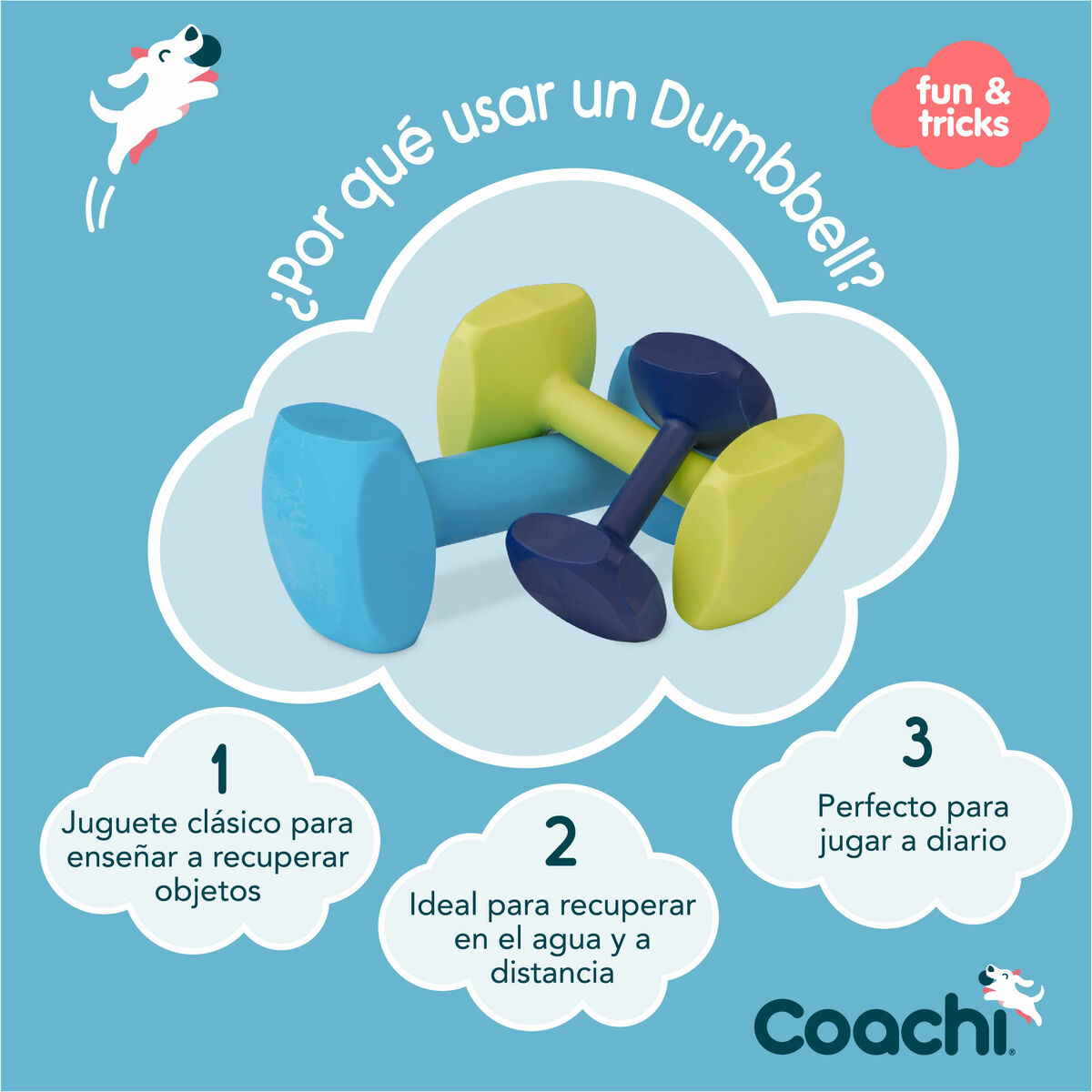 Träningsleksak Coachi TRAINING DUMBBELL Blå - 8
