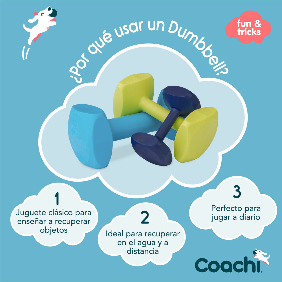 Träningsleksak Coachi TRAINING DUMBBELL - 8