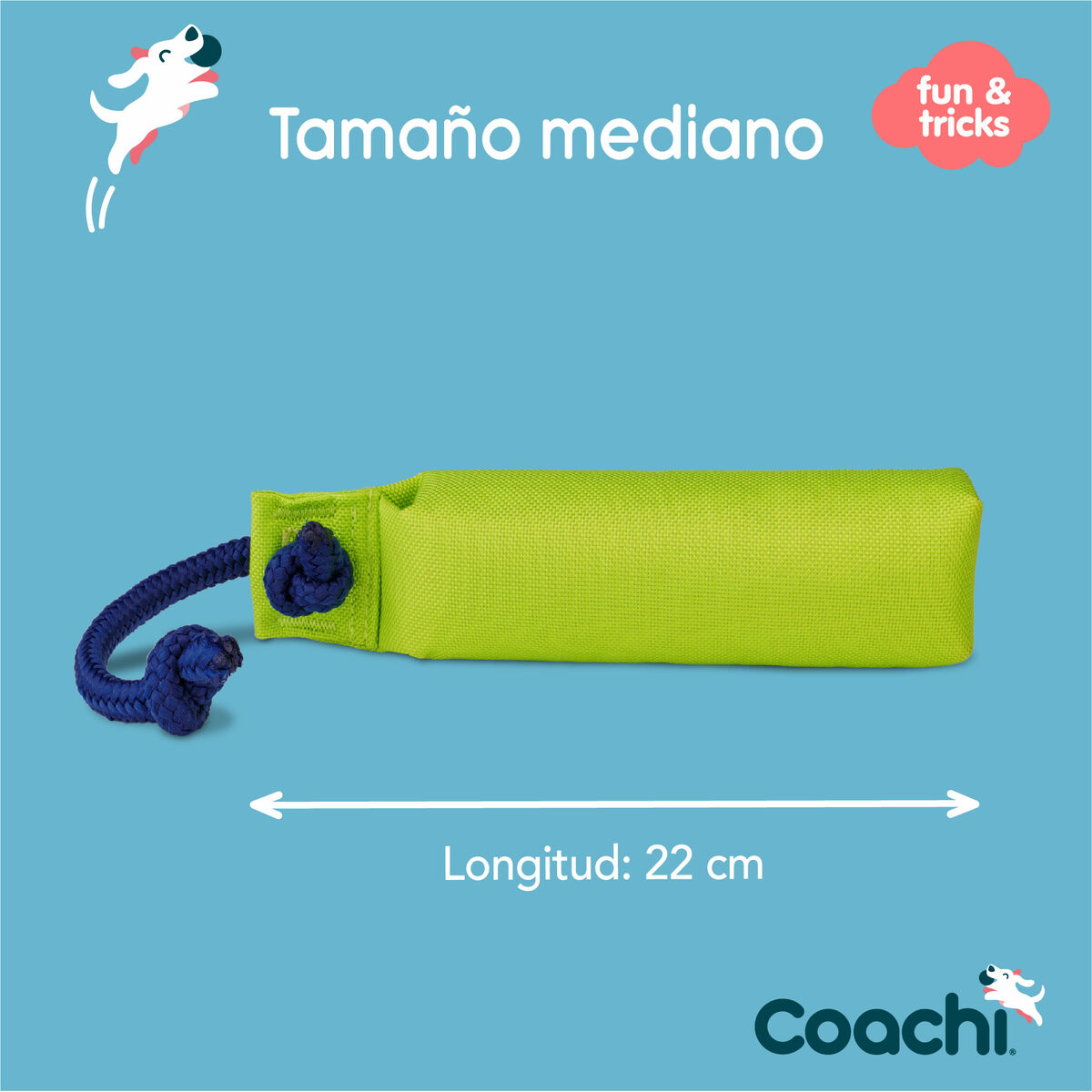 Training toy Coachi - 2